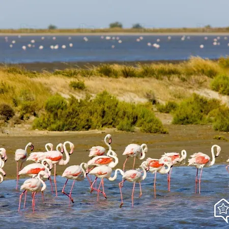 펜션 Region Paca -provence Alpes Cote D'azur - Camargue *