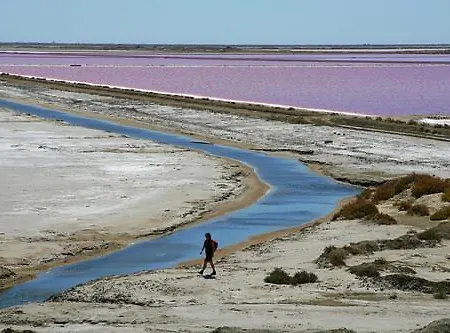 Region Paca -provence Alpes Cote D'azur - Camargue 펜션